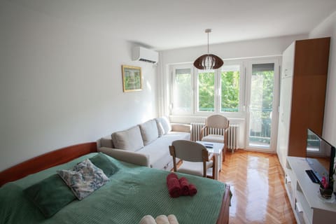 Apartment Lea Apartment in Belgrade