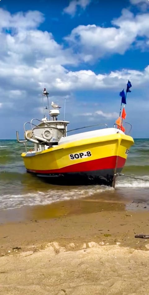 Natural landscape, Activities