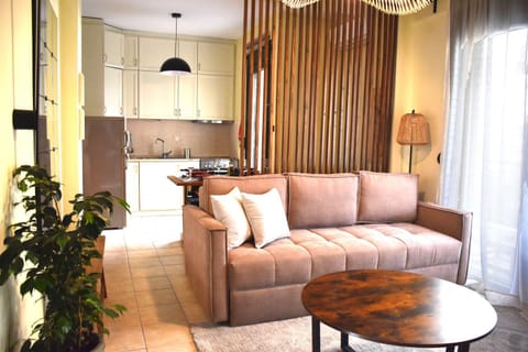 Living room, kitchen