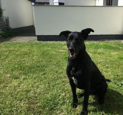 Haus Hallig Hooge Apartment in Schleswig-Holstein