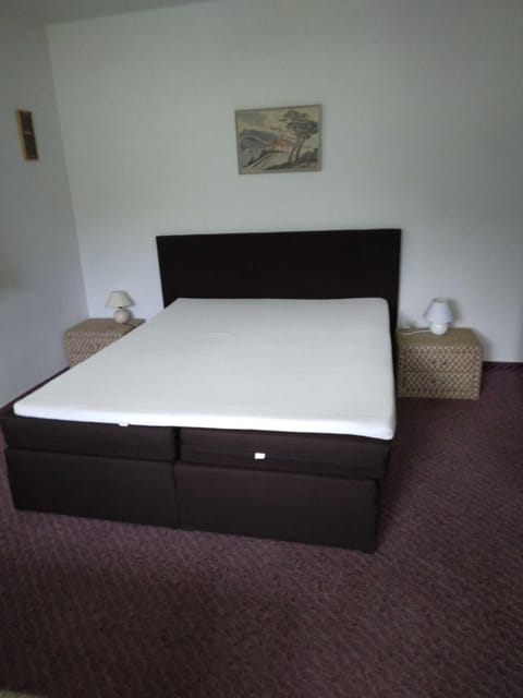 Alpenstern Apartment in Tyrol