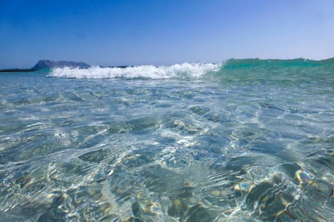 CASA MAMBO Apartment in San Teodoro