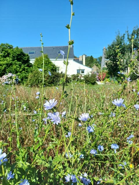 Natural landscape, Garden, Garden view