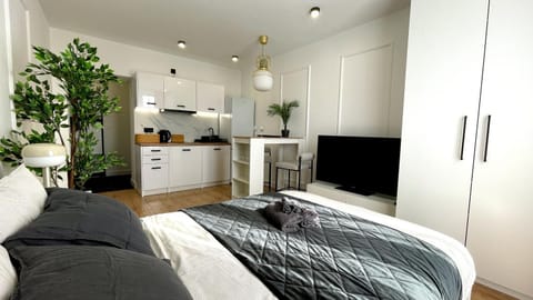 Bed, Kitchen or kitchenette, Photo of the whole room