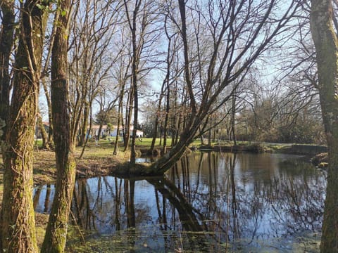 Natural landscape, Lake view