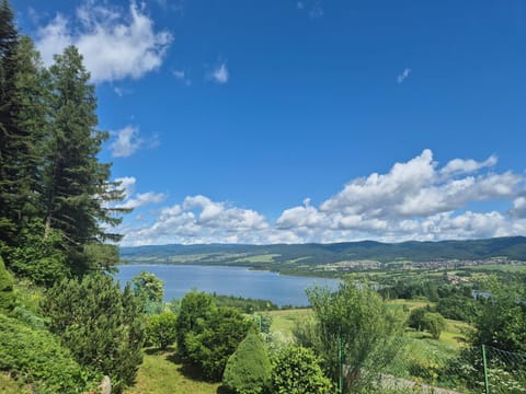 Garden, Garden view, Lake view