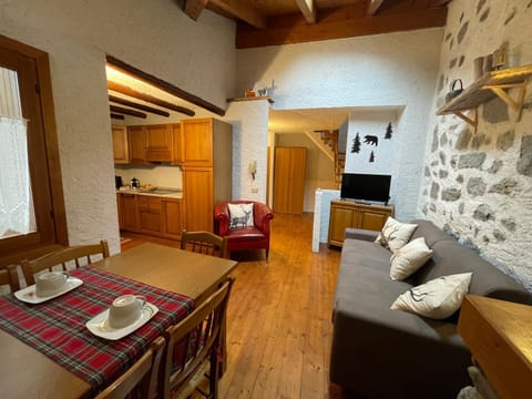 TV and multimedia, Kitchen or kitchenette, Living room, Seating area, Dining area, pet friendly, stove