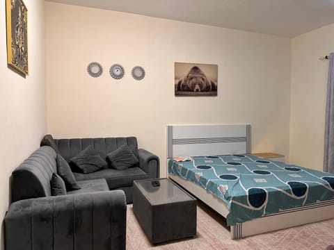 City view furnished room Apartment in Ajman