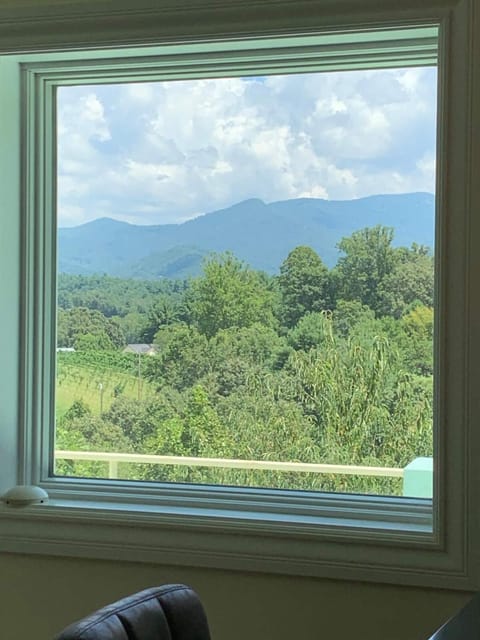 Close to DT Asheville- Weaverville- Apartment Inc House in Weaverville