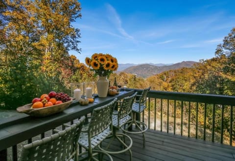 12 mins to DT Asheville & Biltmore, Fire pit, View House in Asheville