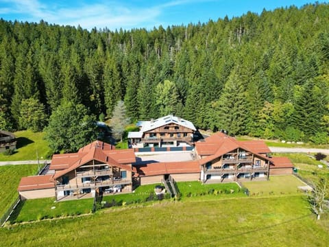 Gite Le Grand Cerf Piscine et Spa Chalet in Xonrupt-Longemer