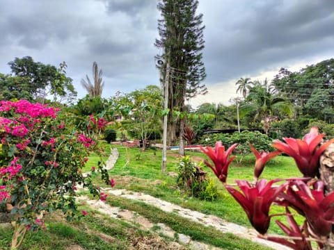 Natural landscape, Garden, Garden view