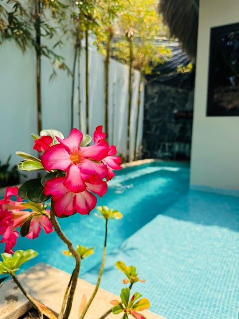 Oasis Villa a lado del mar Villa in Brisas de Zicatela