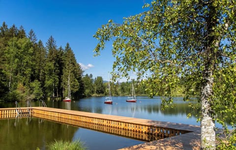 Feriendorf am Maltschacher See Apartment in Carinthia, Austria