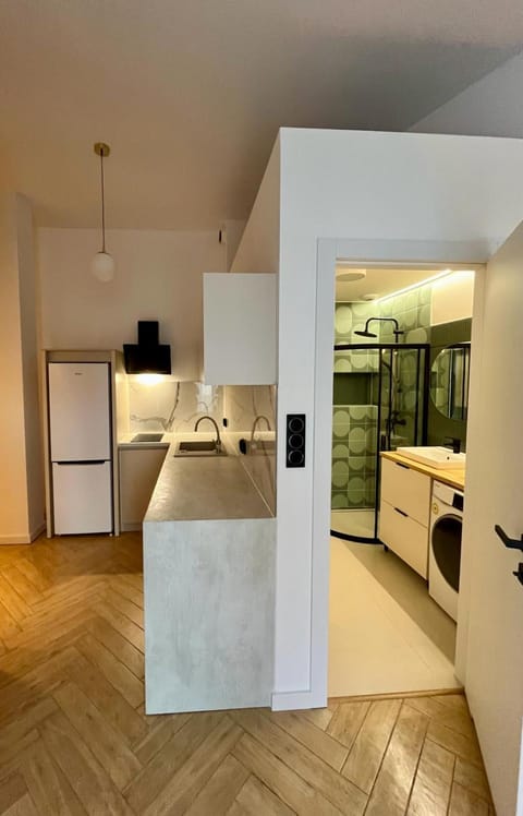 Bathroom, Kitchen or kitchenette, Living room