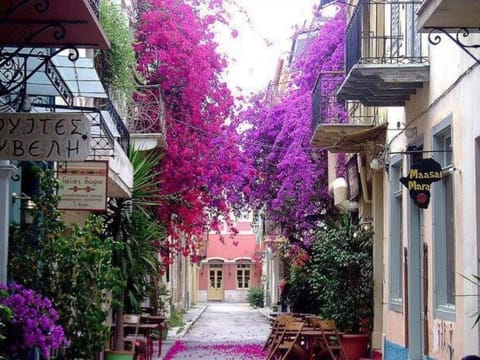 Hide Away Home in Nafplio Discounts Apartment in Nafplion