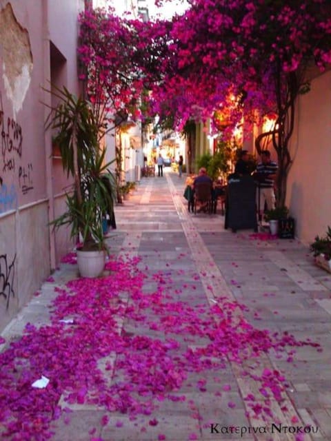 Hide Away Home in Nafplio Discounts Apartment in Nafplion