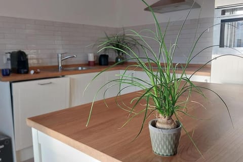 Coffee/tea facilities, Kitchen or kitchenette, minibar