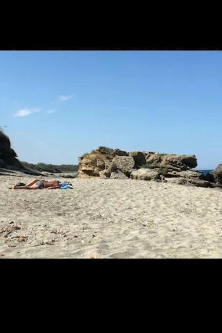 Appartement dans résidence Apartment in Linguizzetta