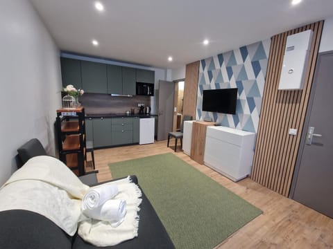 Communal lounge/ TV room, TV and multimedia, Kitchen or kitchenette, minibar, pet friendly