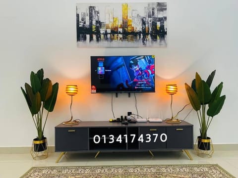 TV and multimedia