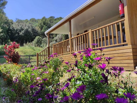 Property building, Summer