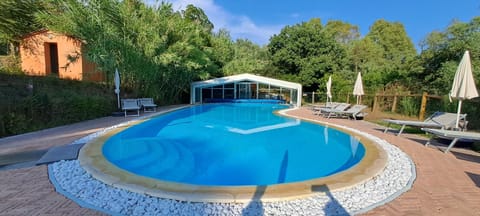 Pool view, Swimming pool