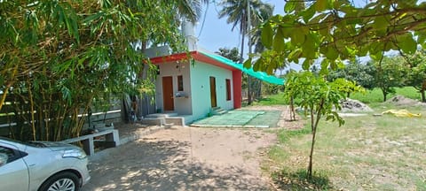 Property building, Natural landscape, Garden