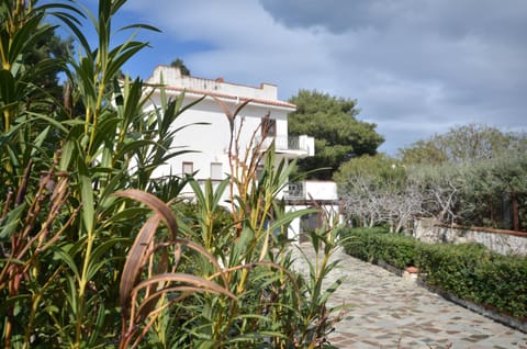 Property building, Spring, Day, Garden, Garden view