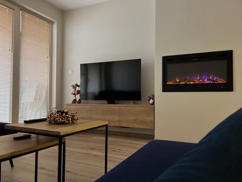 TV and multimedia, Entertainment, flat iron, air conditioner