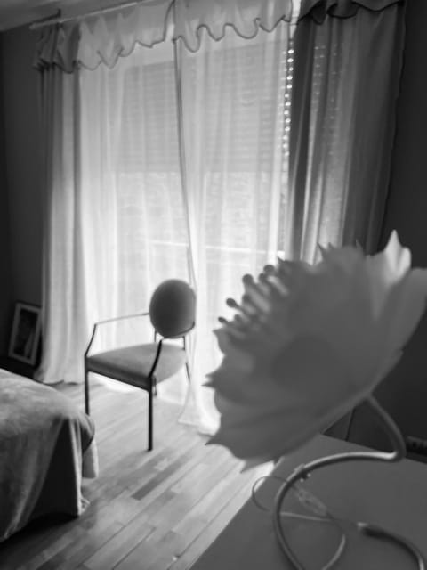 Villa de caractère à Saint- Malo 100m du Sillon Villa in St-Malo