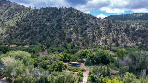 The Blue Jay at Zen Zion House in Glendale