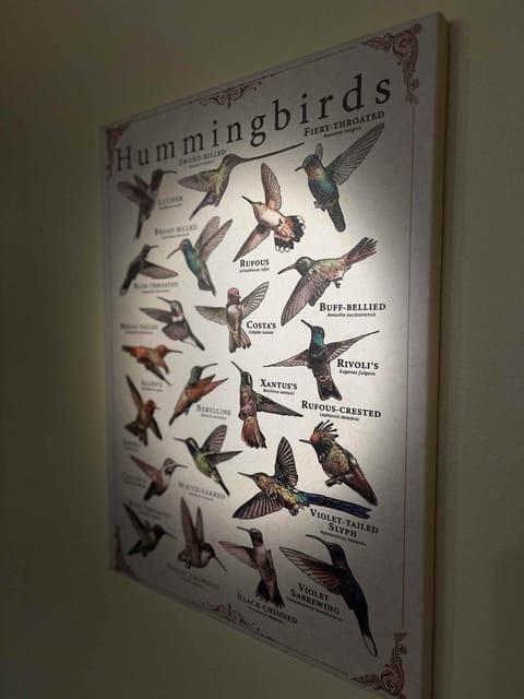 The Hummingbird at Zen Zion House in Glendale