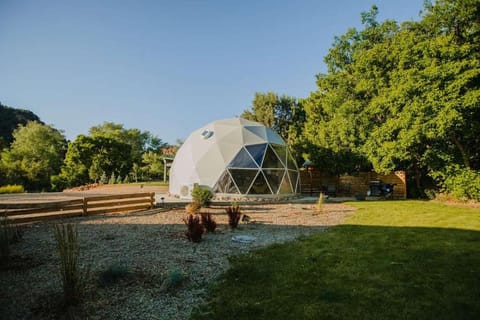 Zen Zion Evergreen Dome House in Glendale
