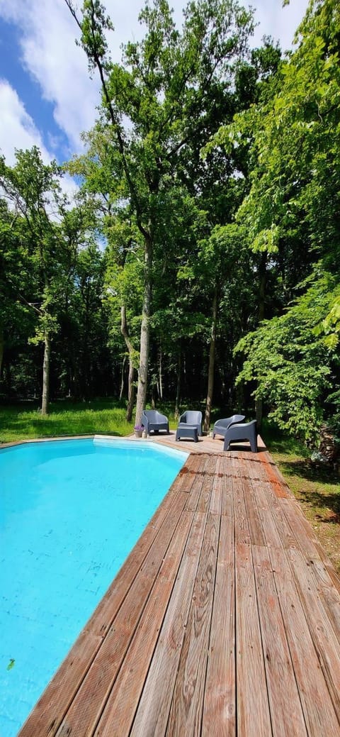 Garden, Garden view, Pool view, Swimming pool