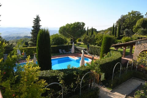 Garden, Garden view, Swimming pool