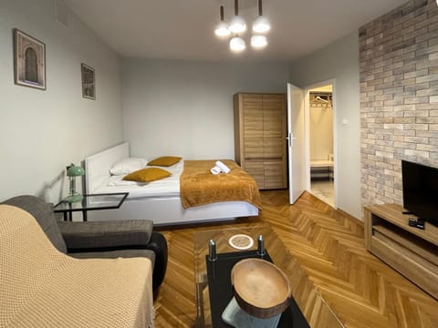 Bed, TV and multimedia, Living room, Photo of the whole room, Seating area, Bedroom, wardrobe