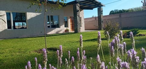 Property building, Garden view