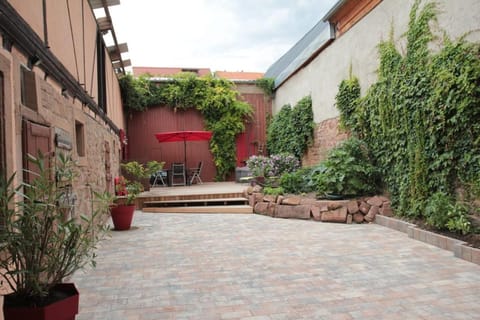 Garden view