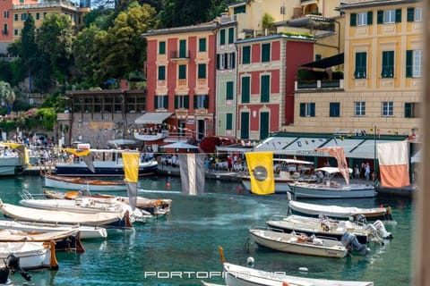 Natural landscape, City view, Sea view