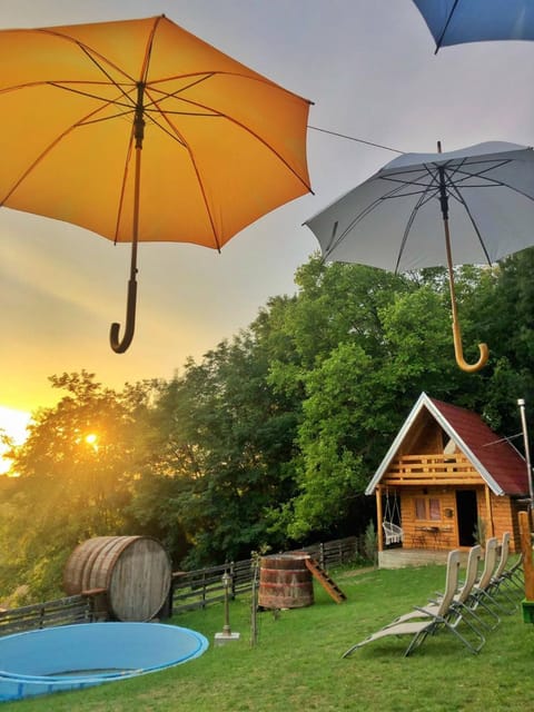 Spring, Day, Natural landscape, Garden, Garden view, Pool view, Swimming pool, Sunrise, sunbed