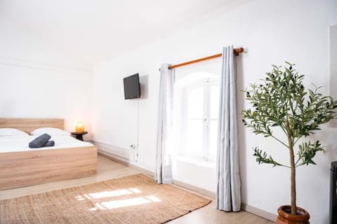 Studio Chaleureux niché au cœur des Salins Apartment in Arles