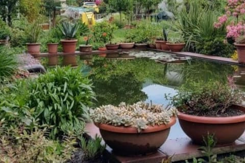 Spring, Day, Garden, Garden view