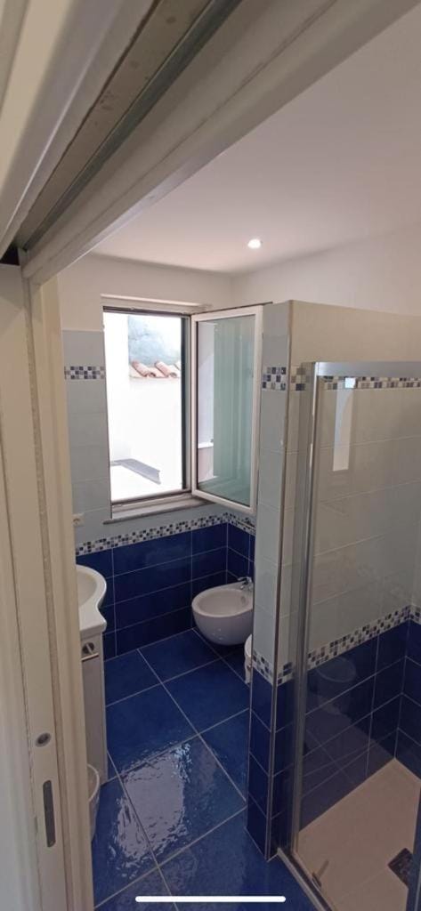 Shower, Toilet, Bathroom, bidet