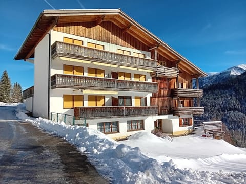 Appartement Isolde Ebnit Apartment in Vorarlberg, Austria