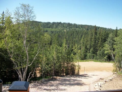 In The Snow Lodge - Terry Peak House in North Lawrence