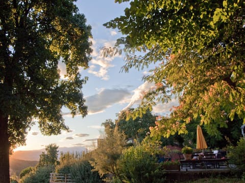 La Casa Trasparente - locazioni brevi Apartment in Veneto
