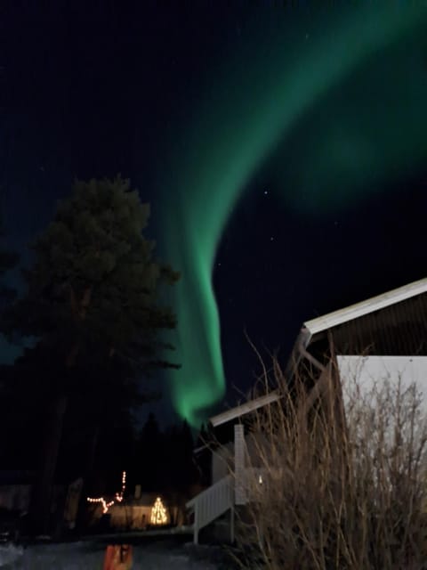 Property building, Night, Garden, Other, Other, VIP