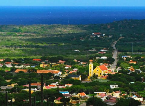 Neighbourhood, City view