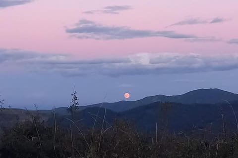 Une pause Champêtre : gîte avec terrasse Apartment in Provence-Alpes-Côte d'Azur